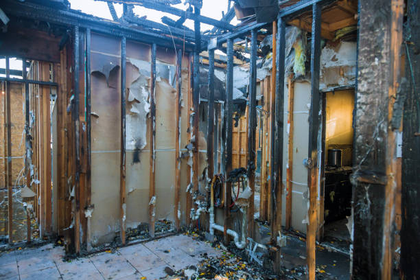Professional Odor Removal technician working in Baker, LA